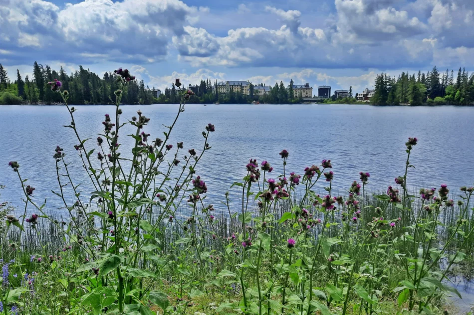Letnia akcja „Wakacje z Przewodnikiem” organizowana przez limanowski oddział PTTK przyciąga turystów - zdjęcie 4