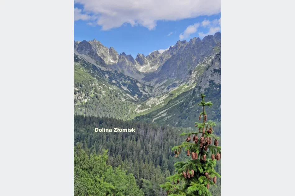 Letnia akcja „Wakacje z Przewodnikiem” organizowana przez limanowski oddział PTTK przyciąga turystów - zdjęcie 6