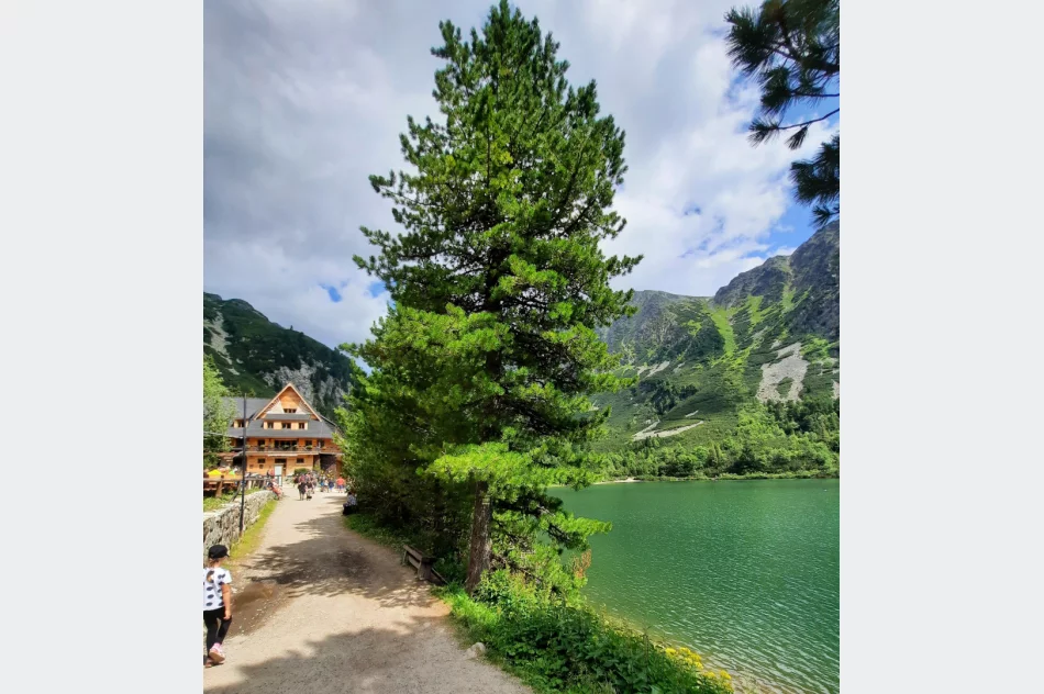 Letnia akcja „Wakacje z Przewodnikiem” organizowana przez limanowski oddział PTTK przyciąga turystów - zdjęcie 9