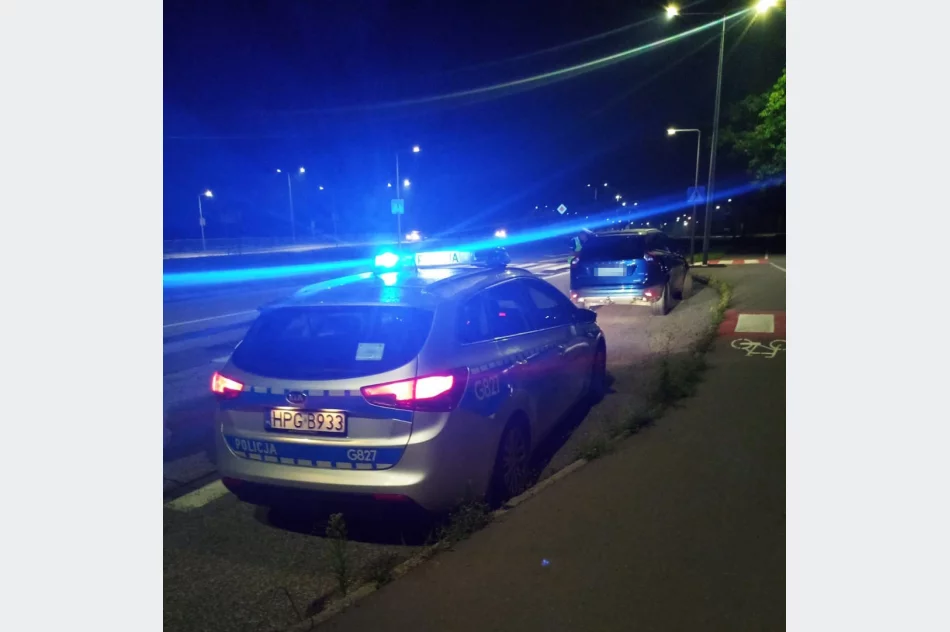 Akcja policji: 2 przestępstwa i 30 wykroczeń, zatrzymane 2 prawa jazdy i 14 dowodów rejestracyjnych (wideo) - zdjęcie 4