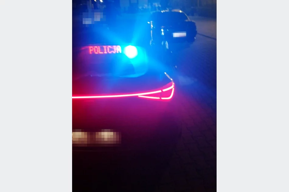 Akcja policji: 2 przestępstwa i 30 wykroczeń, zatrzymane 2 prawa jazdy i 14 dowodów rejestracyjnych (wideo) - zdjęcie 8
