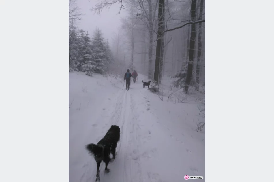 Drapowicze się rozkręcają. Jutro kolejne wyzwanie. - zdjęcie 4