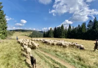 Droższe bilety i nowy szlak w Gorczańskim Parku Narodowym - zdjęcie główne