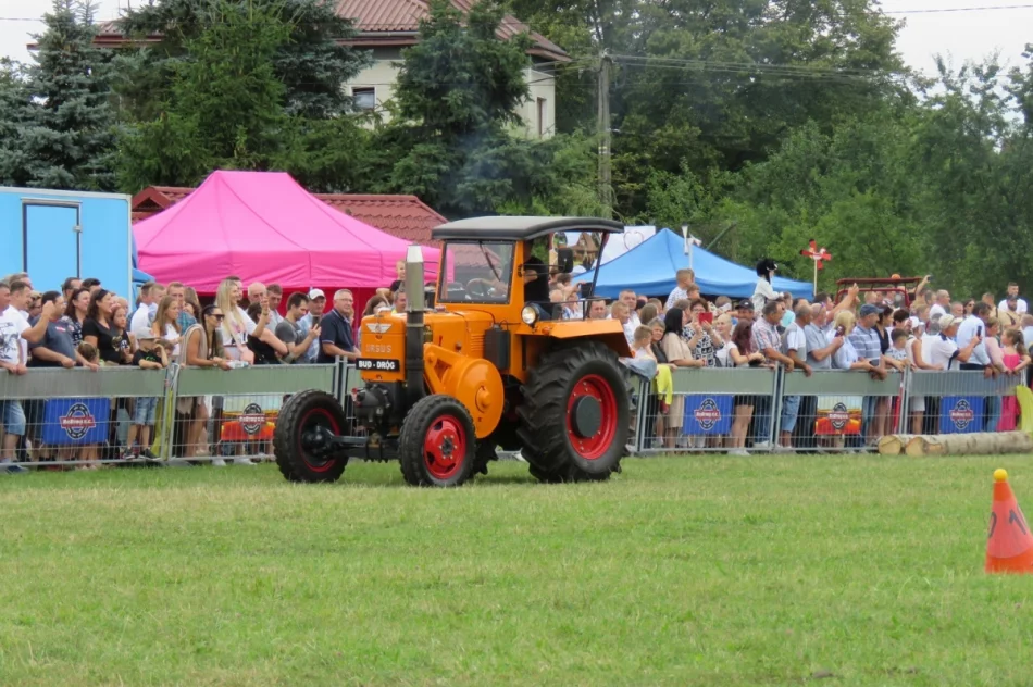 W zawodach wzięły udział 43 zaprzęgi  - zdjęcie 2