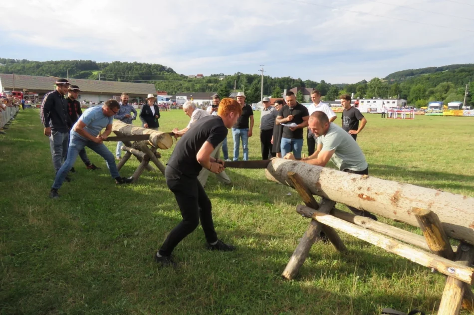 W zawodach wzięły udział 43 zaprzęgi  - zdjęcie 4