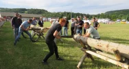 W zawodach wzięły udział 43 zaprzęgi  - zdjęcie 4