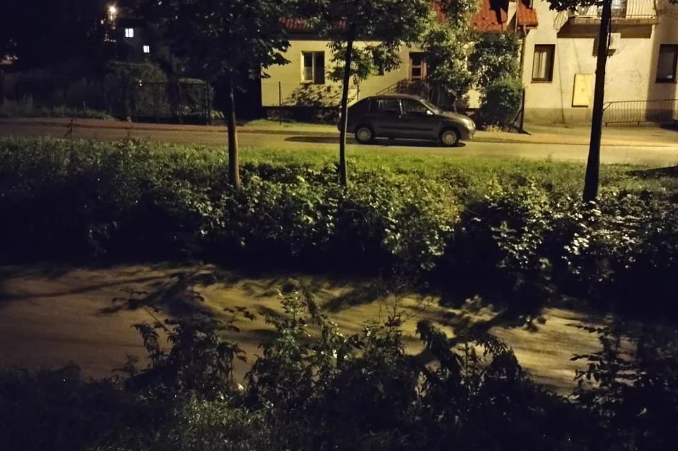 Zalane posesje, ulice i drogi. 36 interwencji - strażacy pracowali całą noc - zdjęcie 2