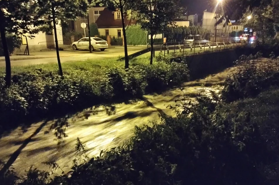 Zalane posesje, ulice i drogi. 36 interwencji - strażacy pracowali całą noc - zdjęcie 4