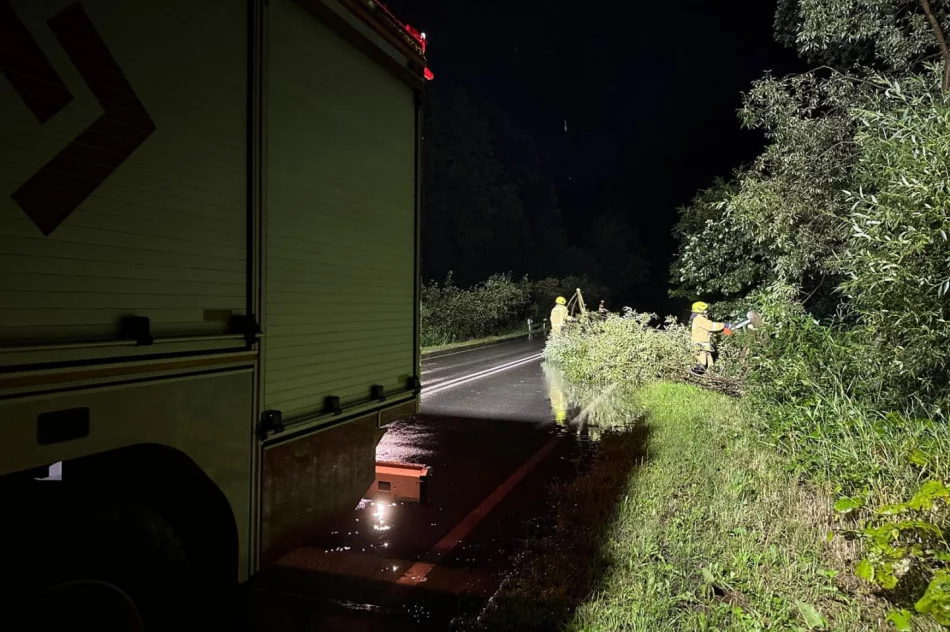 Zalane posesje, ulice i drogi. 36 interwencji - strażacy pracowali całą noc - zdjęcie 6