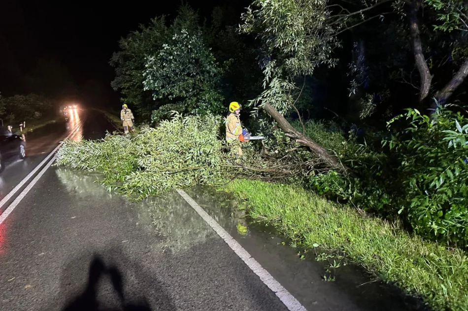 Zalane posesje, ulice i drogi. 36 interwencji - strażacy pracowali całą noc - zdjęcie 7