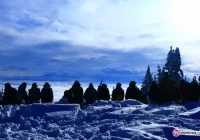 Z zimową pasją - zdjęcie główne