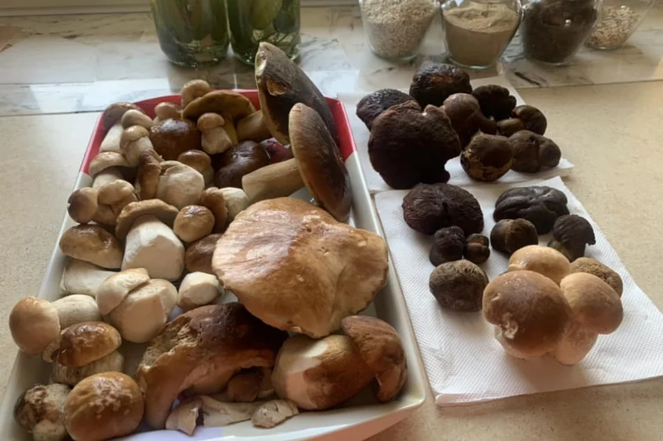 Trwa wysyp grzybów w lasach. Wasze zdjęcia - zdjęcie 16