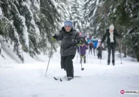 Bieg narciarski i piknik zimowy - zdjęcie główne