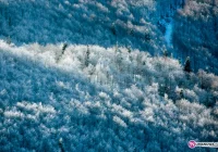 Ostrzeżenie o silnym mrozie - zdjęcie główne