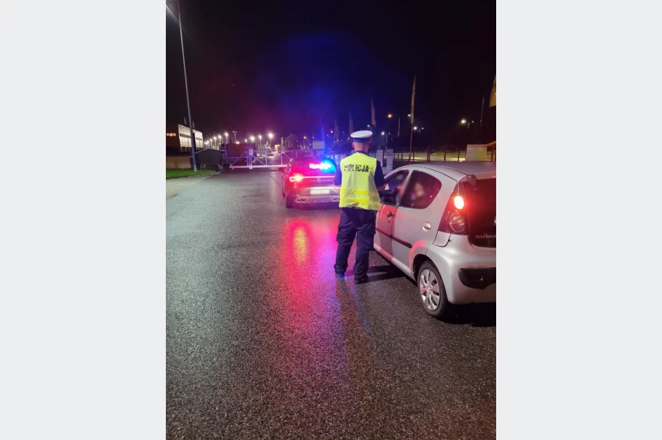 Noc mandatów - najwięcej za przekroczenia prędkości - zdjęcie 3
