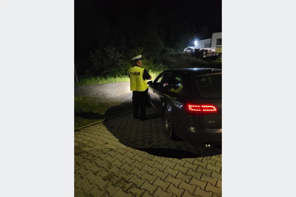 Noc mandatów - najwięcej za przekroczenia prędkości - zdjęcie 4