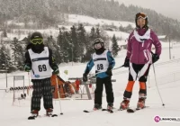 Slalom o Puchar Burmistrza - zdjęcie główne