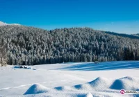 Ostrzeżenie 1 stopnia dotyczące opadów śniegu - zdjęcie główne