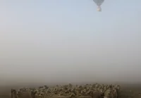 Cztery metry na sekundę - zdjęcie główne