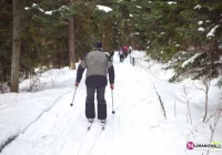 Będzie piknik i bieg narciarski - zdjęcie główne