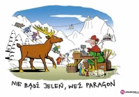 Ruszyły kontrole. 'Nie bądź jeleń weź paragon” - zdjęcie główne