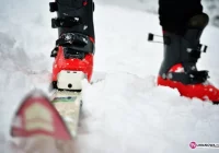 Kradzież spod baru - zdjęcie główne