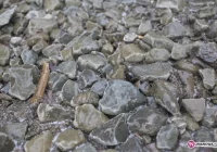 Opady marznące i oblodzenia - zdjęcie główne