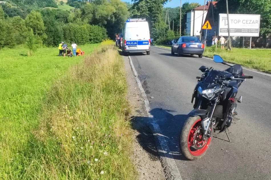 Wypadek skończył się obrażeniami i mandatem  - zdjęcie 5