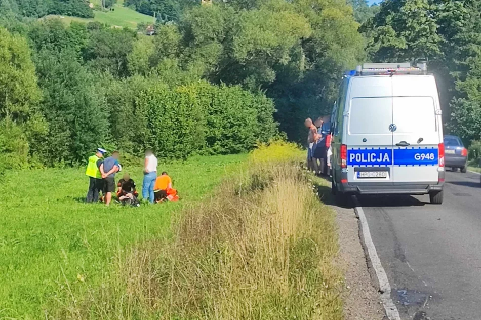 Wypadek skończył się obrażeniami i mandatem  - zdjęcie 4