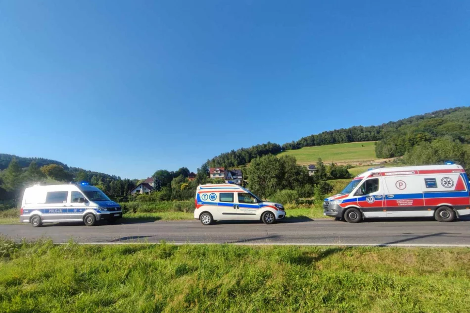 Wypadek skończył się obrażeniami i mandatem  - zdjęcie 2