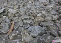 Śliskie drogi i chodniki - zdjęcie główne