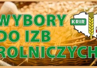 Wybory do izb rolniczych 2023 – powołanie OKW - zdjęcie główne
