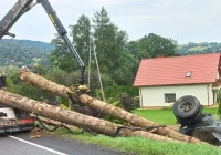 Gwałtowne hamowanie i mandat dla kierowcy - zdjęcie główne