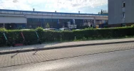 Komunikacja... hulajnogami? To nowość w Limanowej - znamy ceny - zdjęcie 2