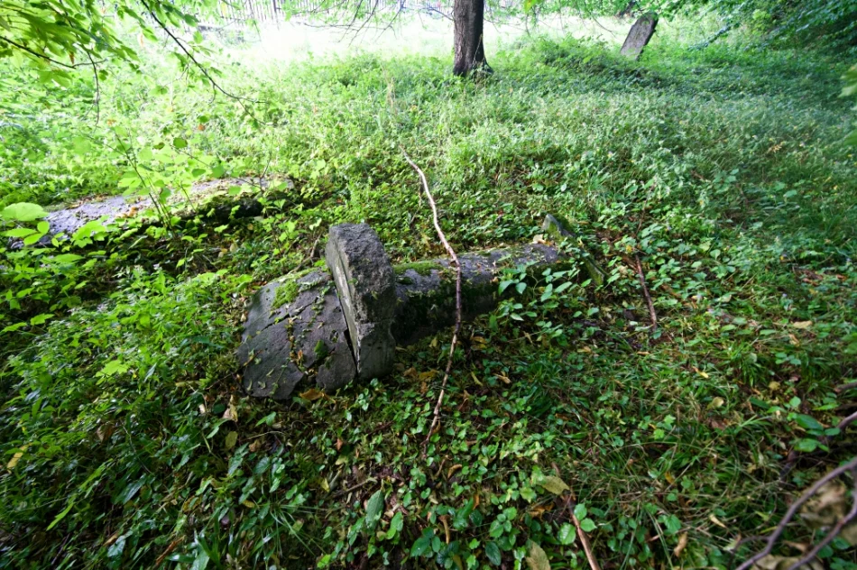 Zaniedbane miejsce kaźni - zdjęcie 15