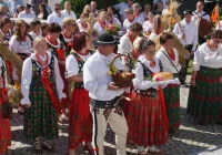 Uroczystość w hołdzie plonom i tradycji - zdjęcie główne
