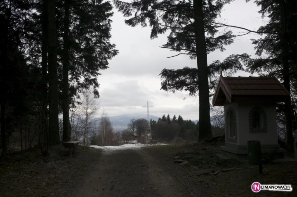 Złaz na Miejskiej Górze - zdjęcie 4