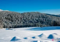 Będą intensywne opady śniegu - zdjęcie główne