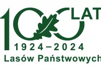 26 sierpnia zapraszamy na Piknik Leśny w Starej Wsi Woli - zdjęcie główne