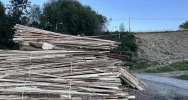 Bandycki napad w biały dzień. Brutalnie pobity za wystąpienie na sesji - zdjęcie 5