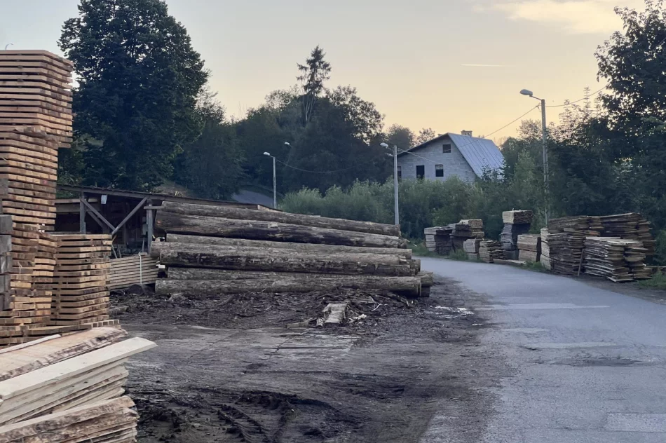 Bandycki napad w biały dzień. Brutalnie pobity za wystąpienie na sesji - zdjęcie 6