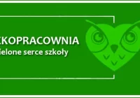 Ekopracownia OZE powstanie w Szkole Podstawowej nr 2 w Limanowej - zdjęcie główne