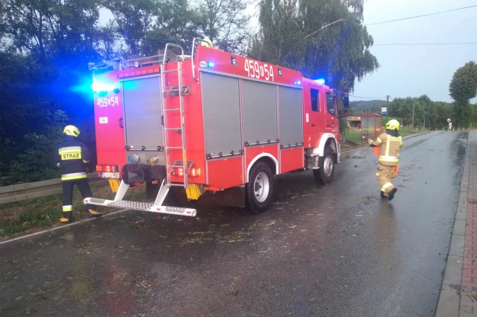 Uszkodzone dachy i powalone drzewa. Awarie prądu. Blisko 100 zdarzeń - zdjęcie 4