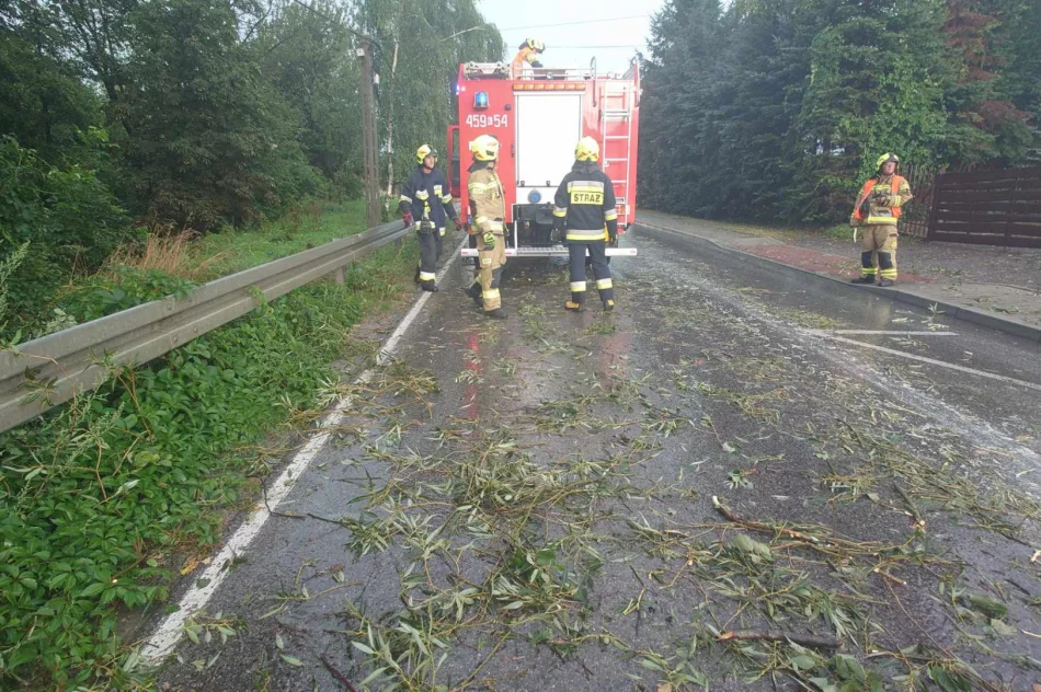 Uszkodzone dachy i powalone drzewa. Awarie prądu. Blisko 100 zdarzeń - zdjęcie 5