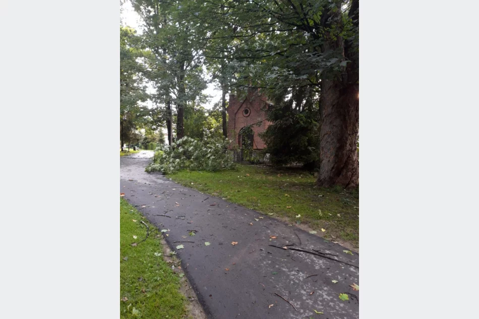 Uszkodzone dachy i powalone drzewa. Awarie prądu. Blisko 100 zdarzeń - zdjęcie 11