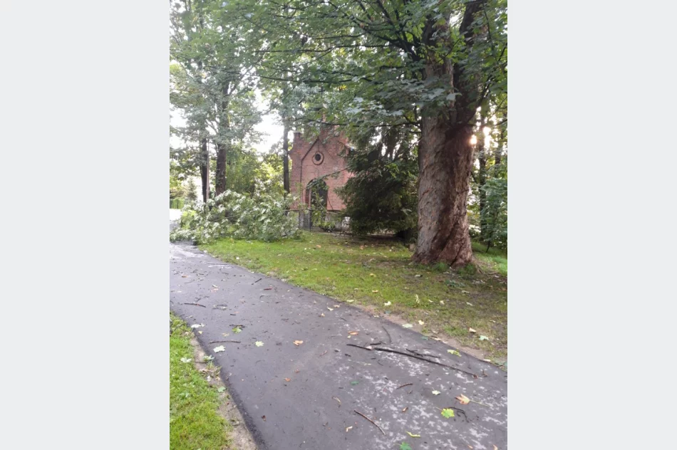 Uszkodzone dachy i powalone drzewa. Awarie prądu. Blisko 100 zdarzeń - zdjęcie 12