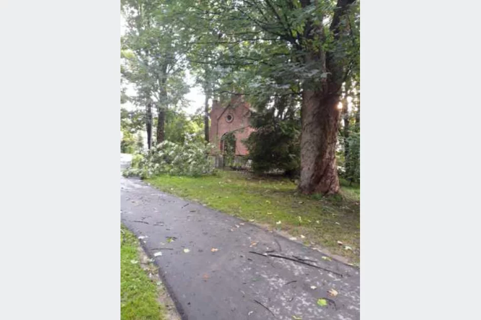 Uszkodzone dachy i powalone drzewa. Awarie prądu. Blisko 100 zdarzeń - zdjęcie 13