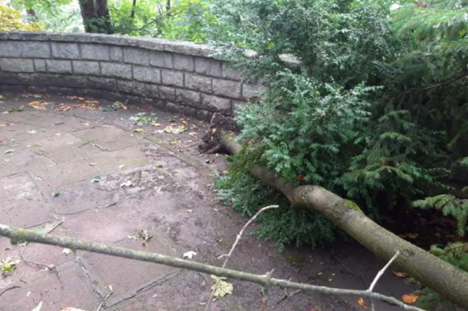 Uszkodzone dachy i powalone drzewa. Awarie prądu. Blisko 100 zdarzeń - zdjęcie 16