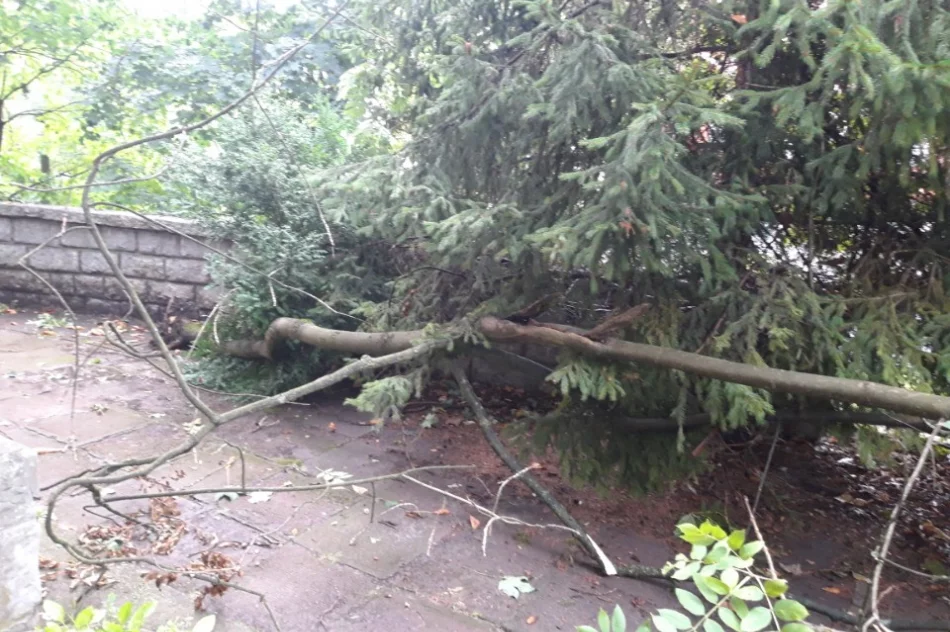 Uszkodzone dachy i powalone drzewa. Awarie prądu. Blisko 100 zdarzeń - zdjęcie 17