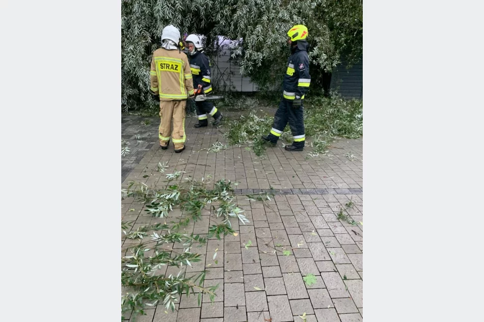 Uszkodzone dachy i powalone drzewa. Awarie prądu. Blisko 100 zdarzeń - zdjęcie 20